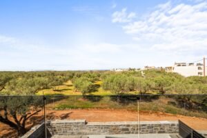 agriana-luxury-vilas (11)