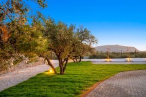 VILLA ANASSA-temma (4)